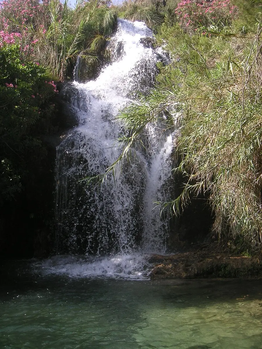 Salto de agua entre cañas y adelfas que cae a una poza verde junto al Chíllar