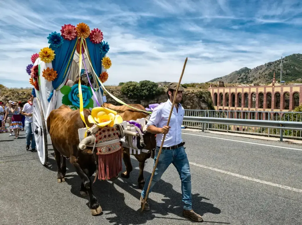 Carreta adornada con flores de papel tirada por bueyes, con el Acueducto del Águila al fondo