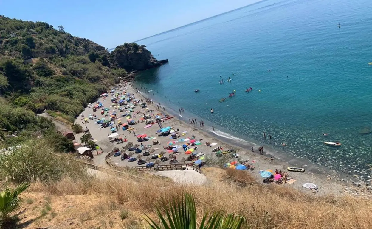 La playa de Maro llena de sombrillas en verano, con kayaks en el agua
