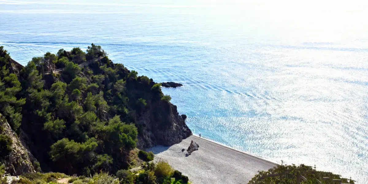 Cala Torre del Pino a contraluz, con el pinar y el reflejo del sol en el mar