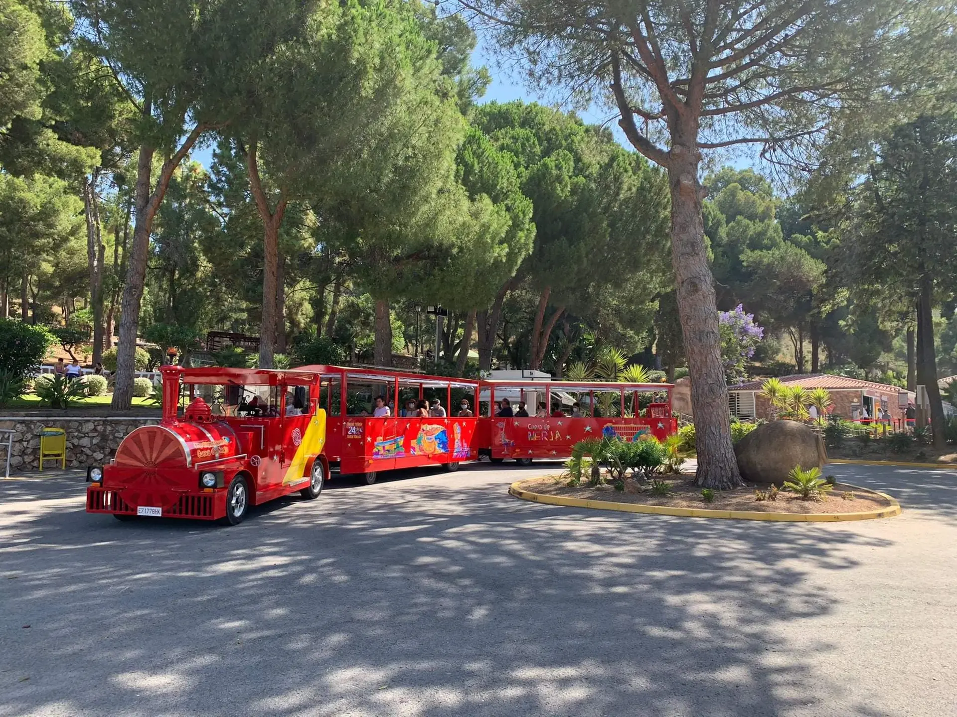 Tren turístico rojo con pasajeros circulando entre pinos bajo un día soleado