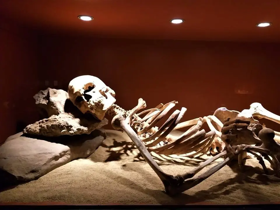 Esqueleto humano prehistórico tendido sobre arena en una vitrina iluminada del museo
