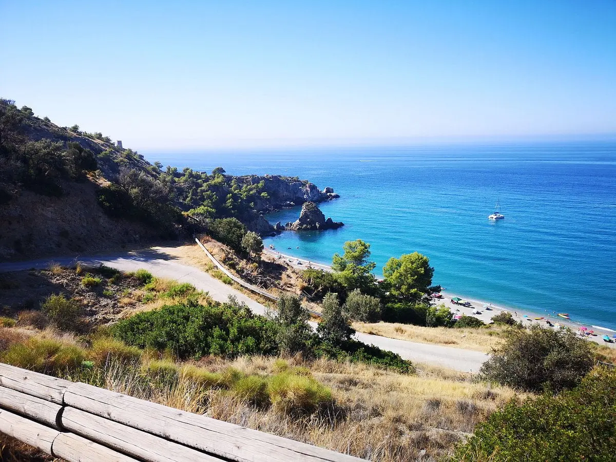 Carretera de bajada a la playa El Cañuelo entre pinos, con el mar turquesa y un velero