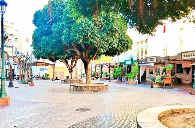 Plaza empedrada con árboles en alcorques redondos y locales cerrados durante el día