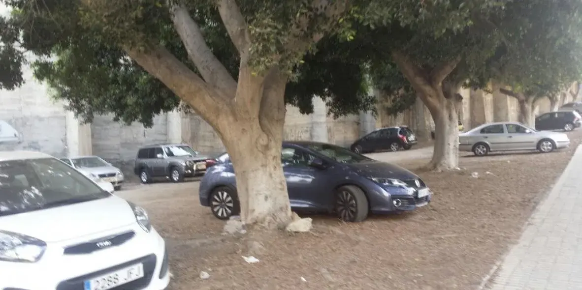 Coches aparcados a la sombra de grandes ficus sobre suelo de tierra