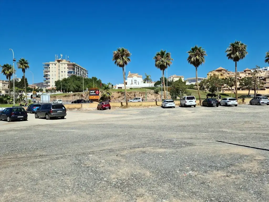 Aparcamiento de grava con coches bajo una hilera de palmeras en un día soleado