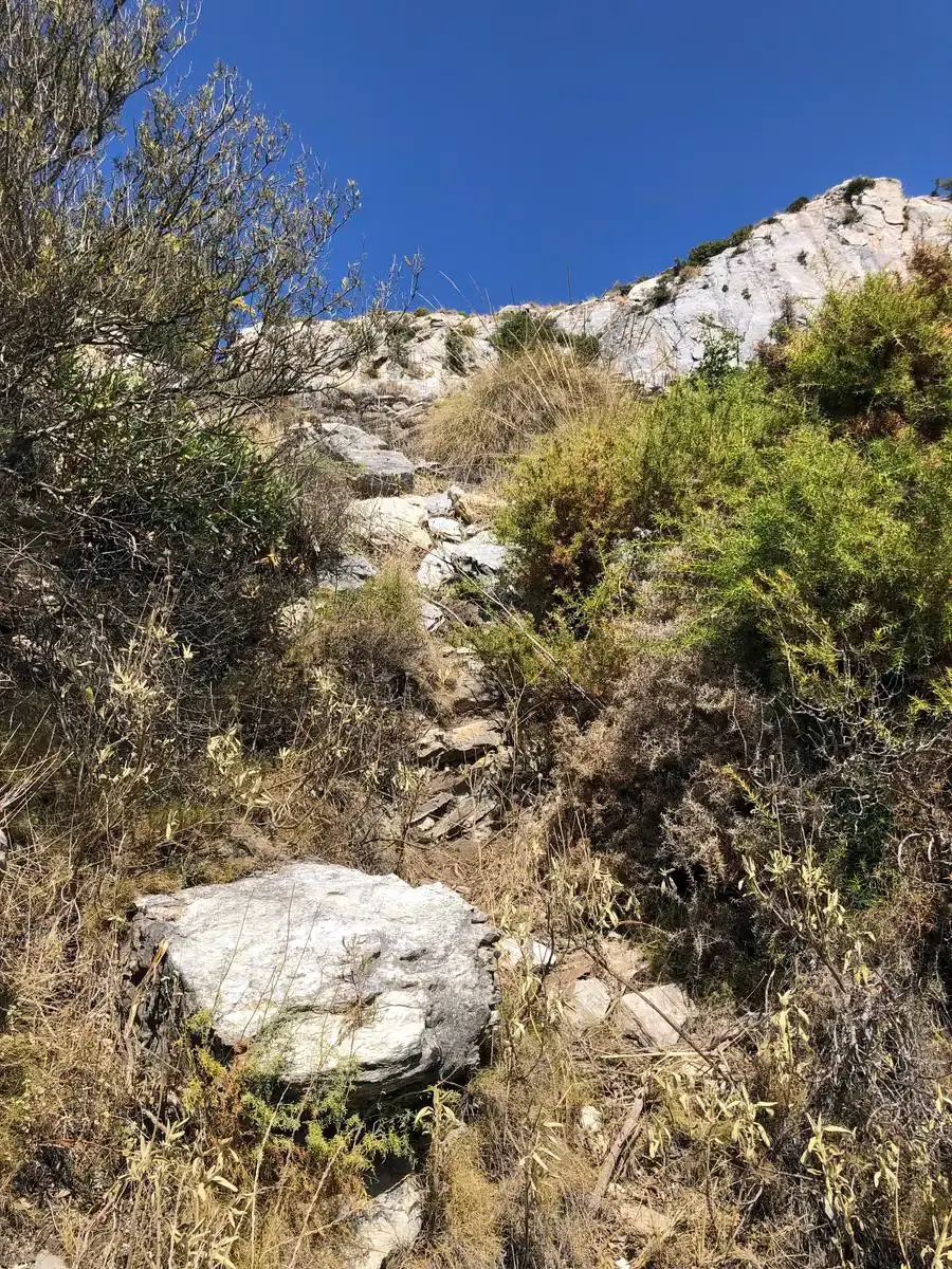 Sendero pedregoso entre matorral hacia las rocas blancas de la cumbre