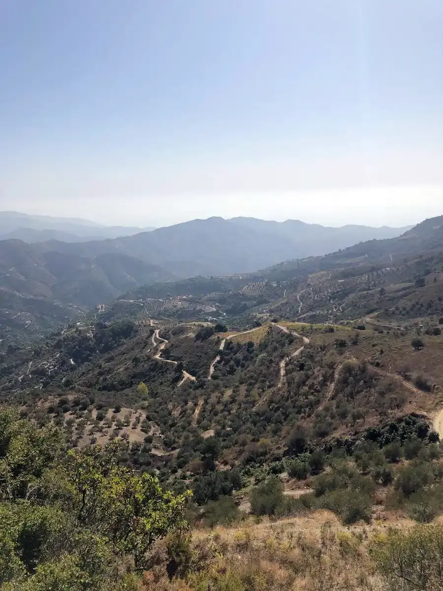 Vista de lomas con olivares y caminos de tierra desde la subida