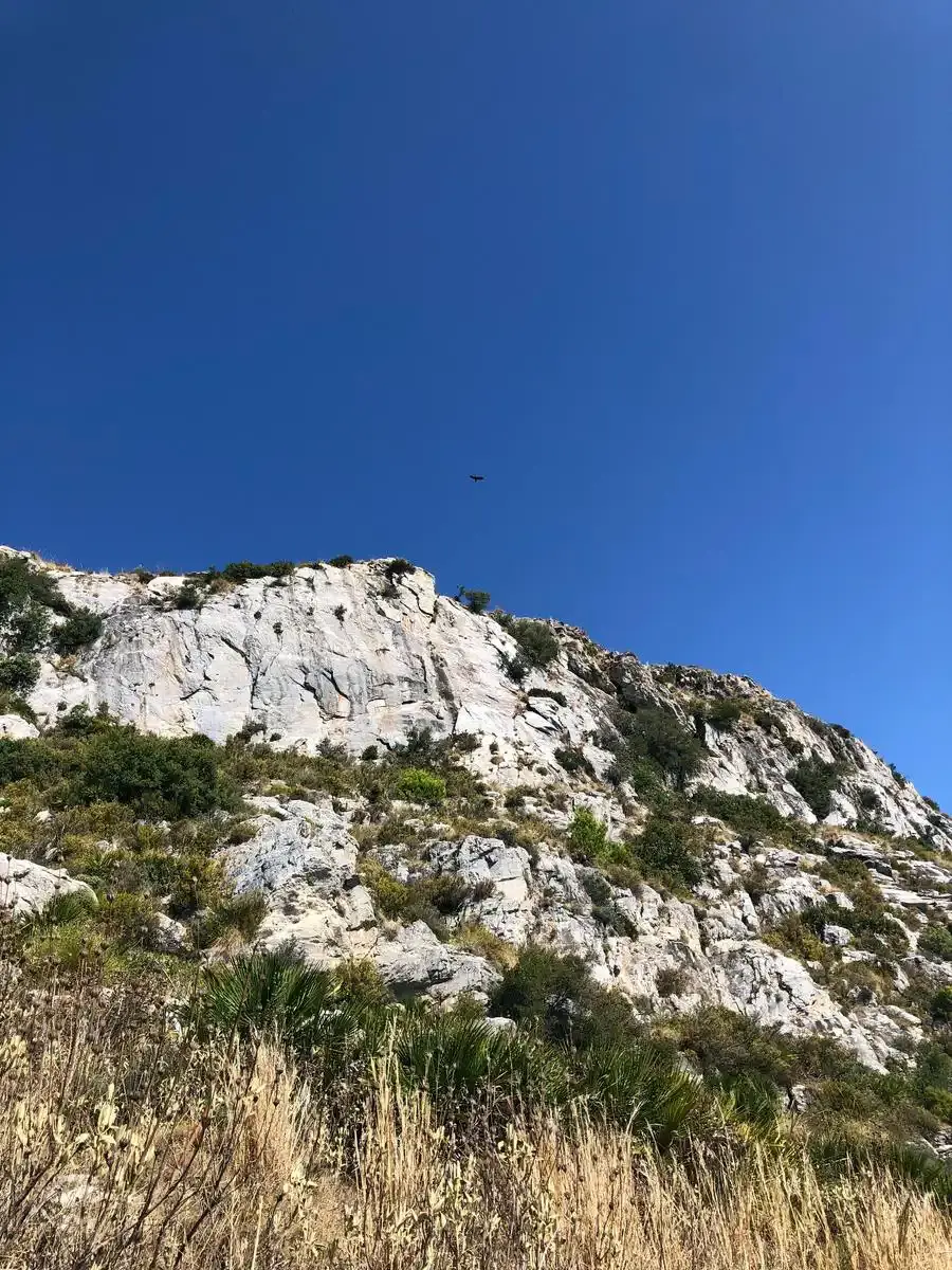 Roca caliza blanca del Peñón de los Castillejos vista desde abajo