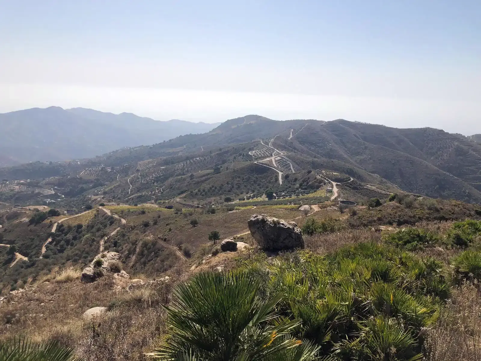Panorámica de la sierra con palmitos en primer plano y pistas en las laderas