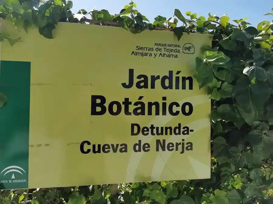 Cartel amarillo del Jardín Botánico Detunda-Cueva de Nerja entre hojas de hiedra
