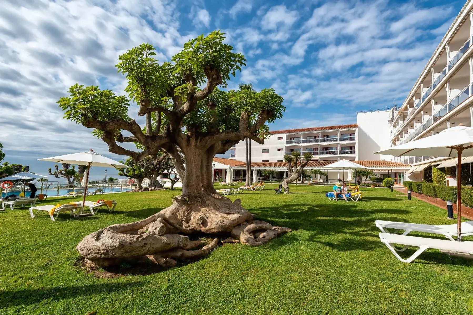 Hoteles en Nerja — imagen 3