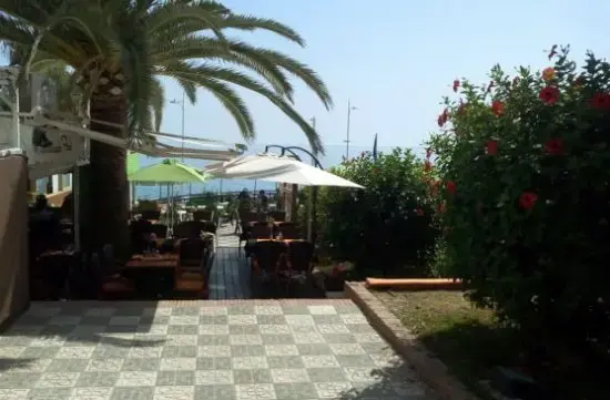 Paso ajedrezado hacia la terraza entre palmera y arbustos de hibiscos rojos