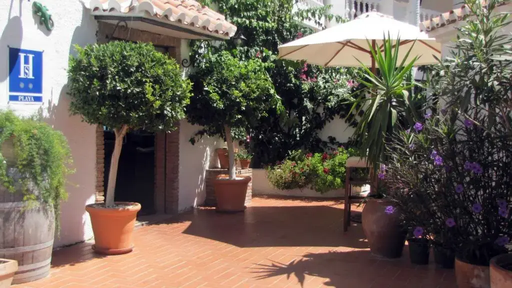 Patio de entrada con naranjos en macetas, sombrilla y placa azul de hostal
