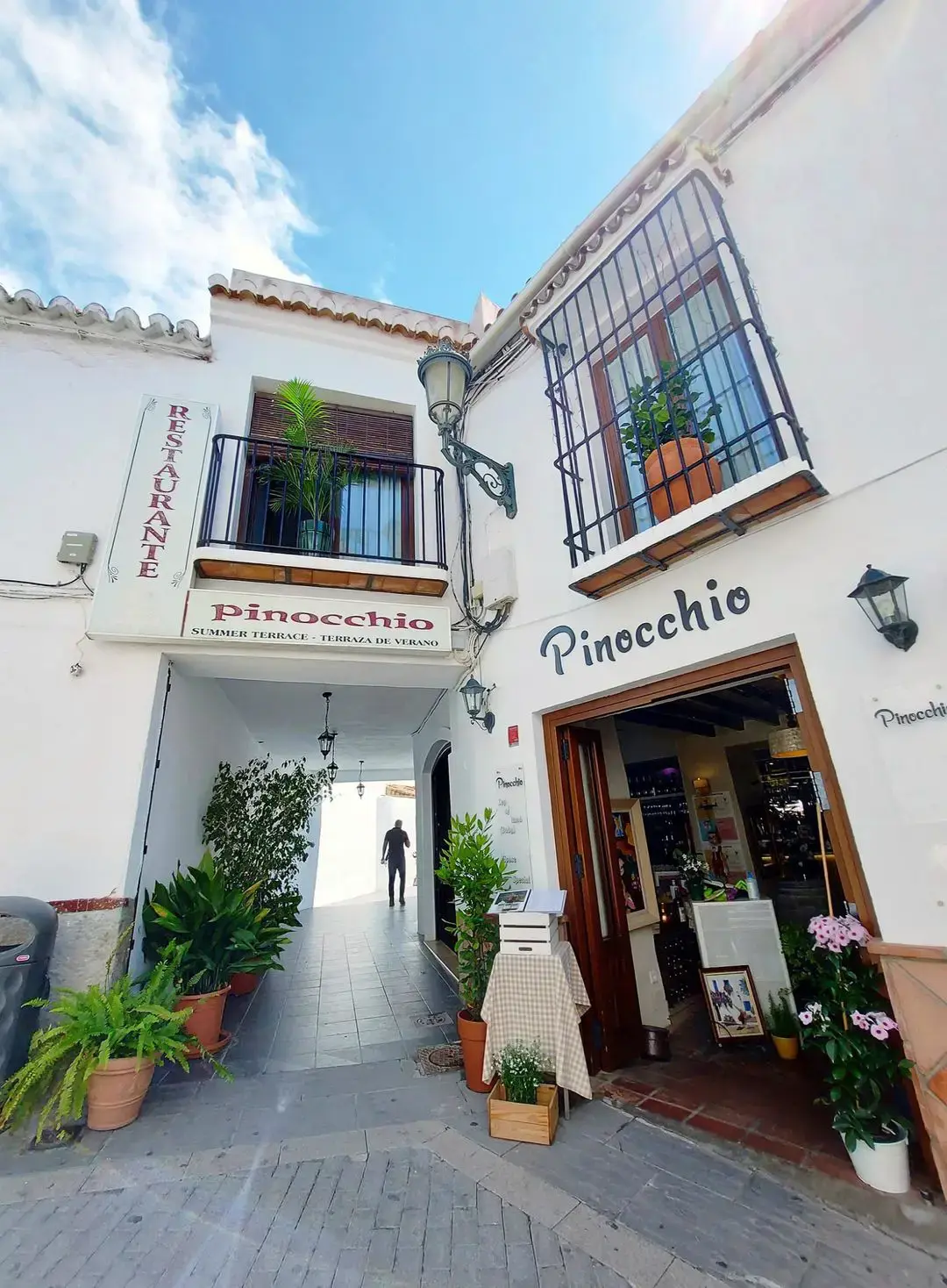 Entrada al restaurante y pasaje hacia la terraza de verano, con plantas en macetas