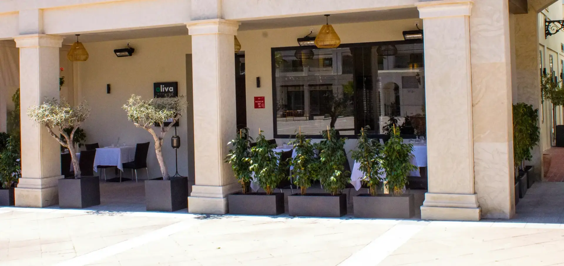 Soportales de la fachada con olivos, plantas en macetas y mesas con mantel blanco