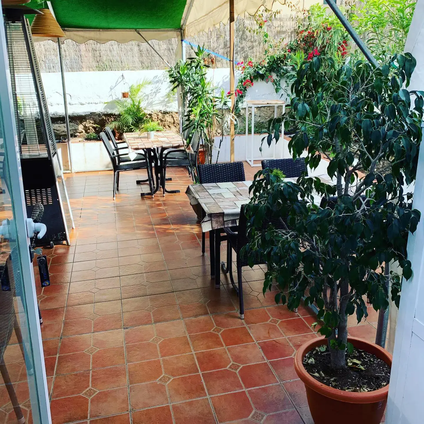 Patio con suelo de barro, mesas, plantas en macetas y buganvillas de día
