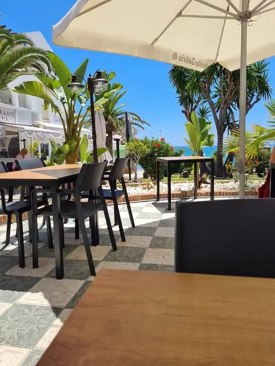 Mesas de la terraza junto a palmeras y jardín, con el mar al fondo en un día soleado