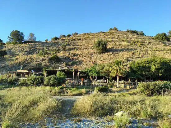 El chiringuito escondido entre vegetación al pie de una ladera seca, visto desde la playa