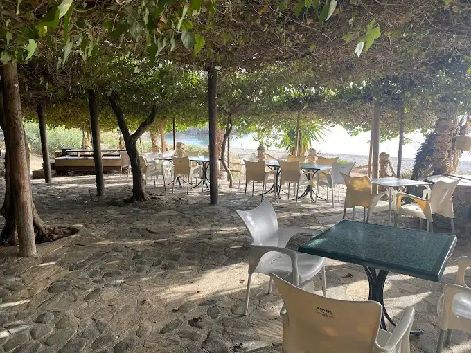 Terraza empedrada a la sombra de los árboles, con mesas de mármol verde y el mar al fondo
