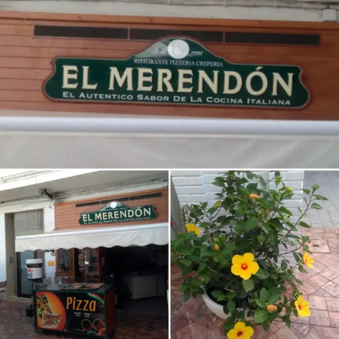 Rótulo de la pizzería El Merendón, su mostrador de pizza y una maceta con flores amarillas