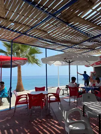 Sillas rojas bajo el cañizo de la terraza, con una palmera y el mar al fondo