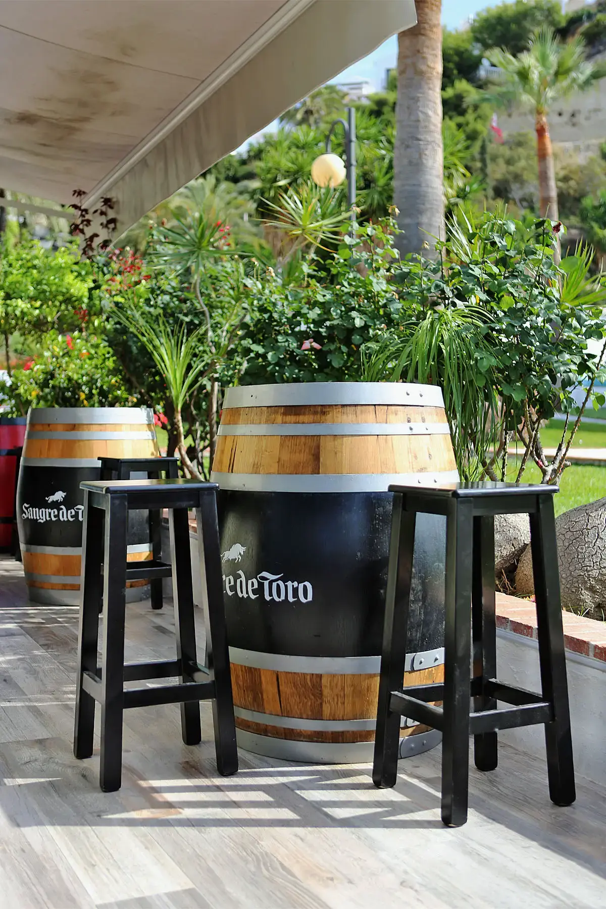 Barriles de vino con taburetes negros en la terraza, entre palmeras y plantas