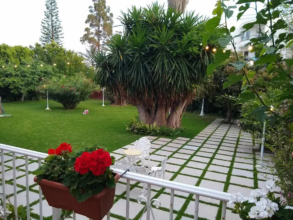 Barandilla con geranios rojos sobre el jardín y su gran yuca al caer la tarde