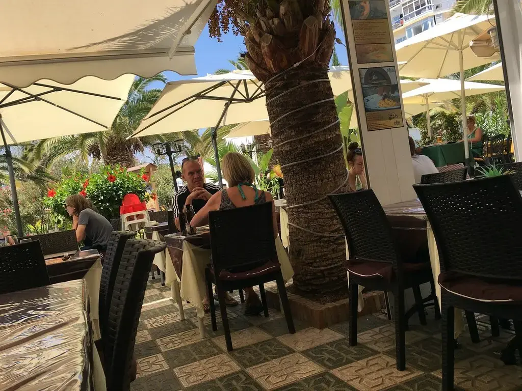Clientes comiendo en la terraza a la sombra de sombrillas y una palmera