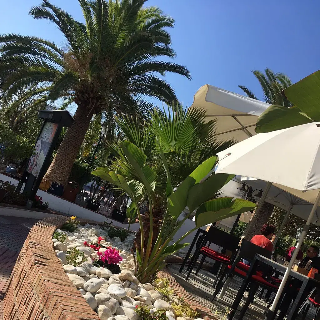 Palmeras y parterre de piedras blancas junto a la terraza con sillas rojas