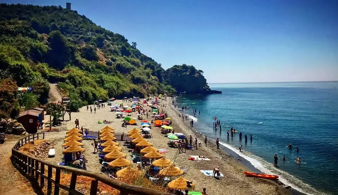 Sombrillas de paja y bañistas en la playa de Maro, bajo la ladera arbolada
