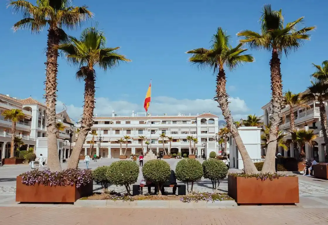 Palmeras y jardineras en primer plano con la plaza y su bandera al fondo