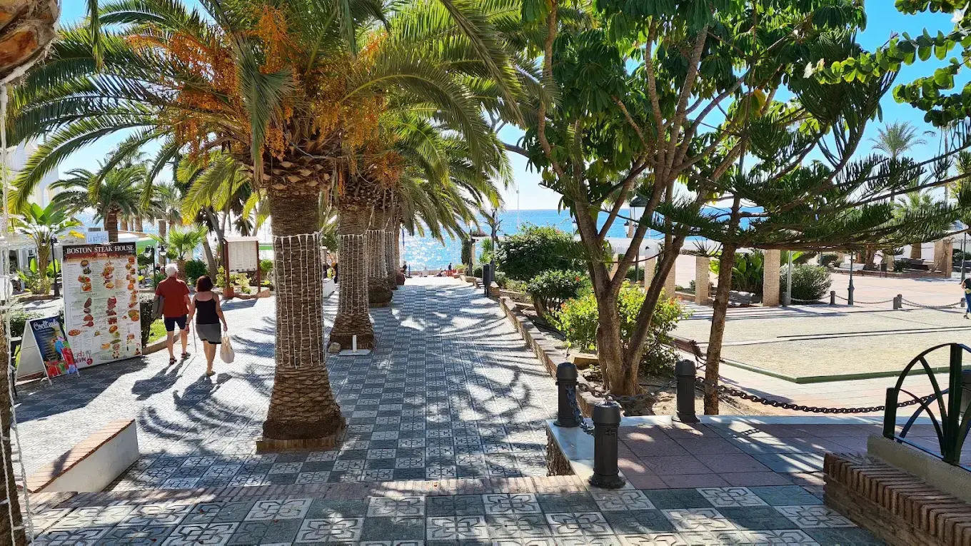 Paseo de baldosas entre palmeras que baja hacia el mar, con gente paseando