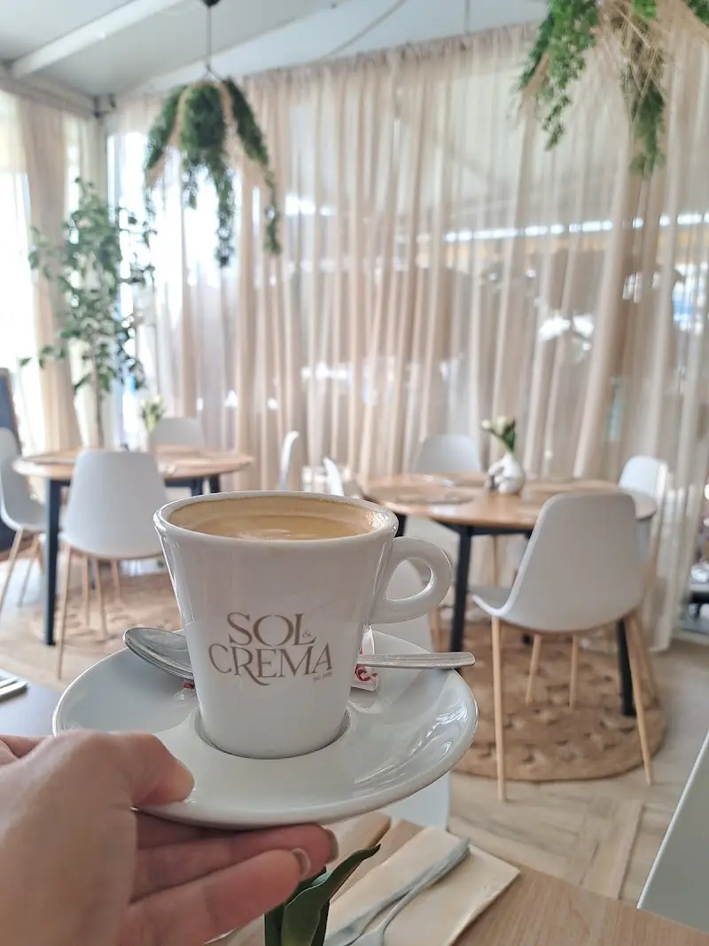 Taza de café en el comedor luminoso con cortinas, sillas blancas y plantas colgantes