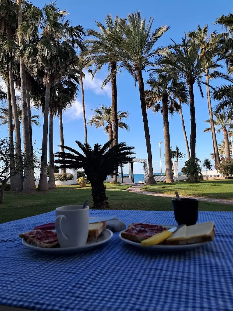 Desayuno en una mesa del jardín con palmeras altas y el mar al fondo del césped