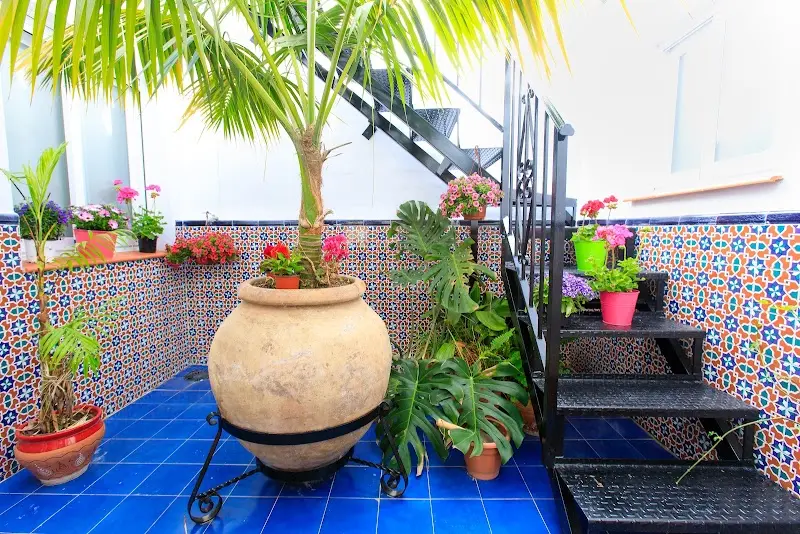 Patio con azulejos de colores, gran tinaja con palmera, macetas con flores y escalera metálica