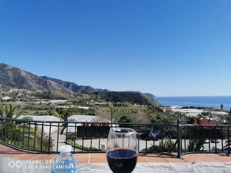 Copa de vino tinto frente a la sierra, los invernaderos y el mar de Maro