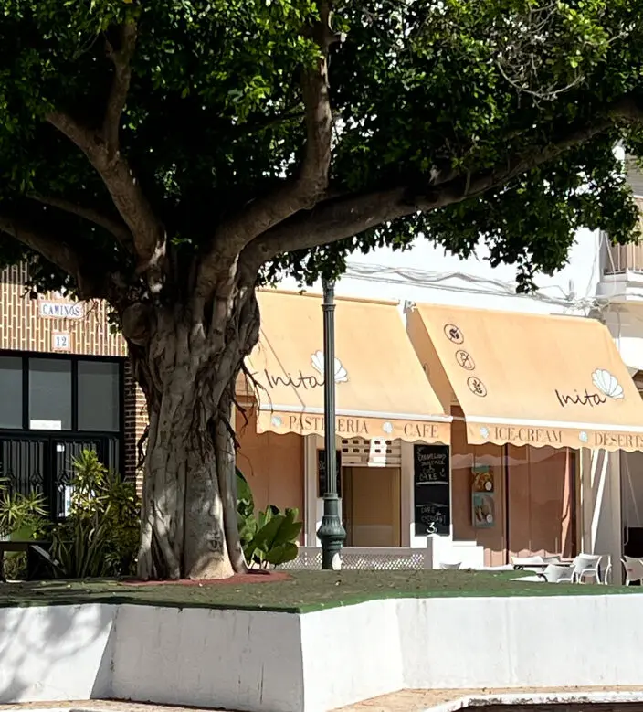 Fachada con toldos de Inita junto a un gran ficus, con pastelería, café y helados