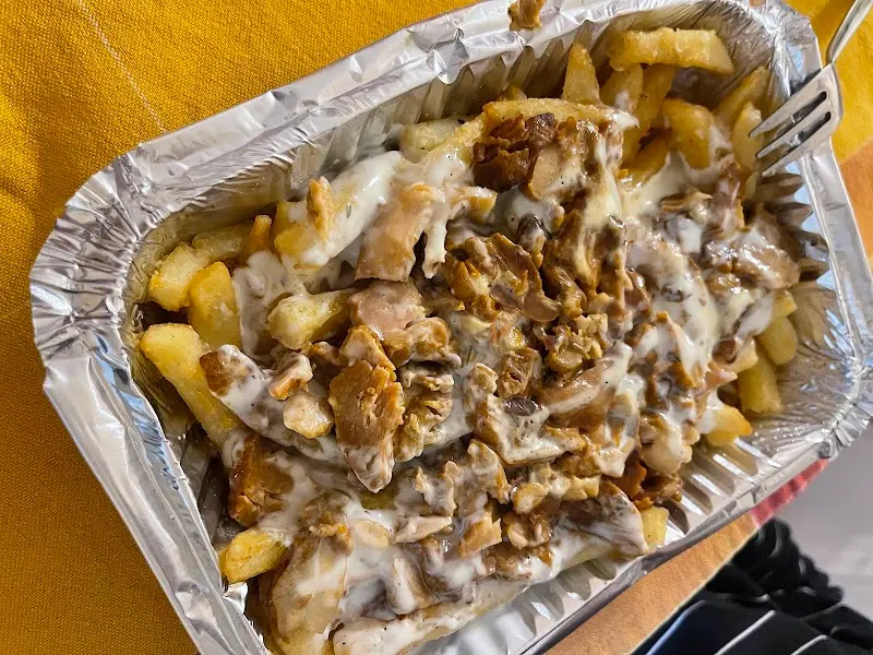 Patatas fritas cubiertas de carne de kebab y salsa blanca en bandeja para llevar