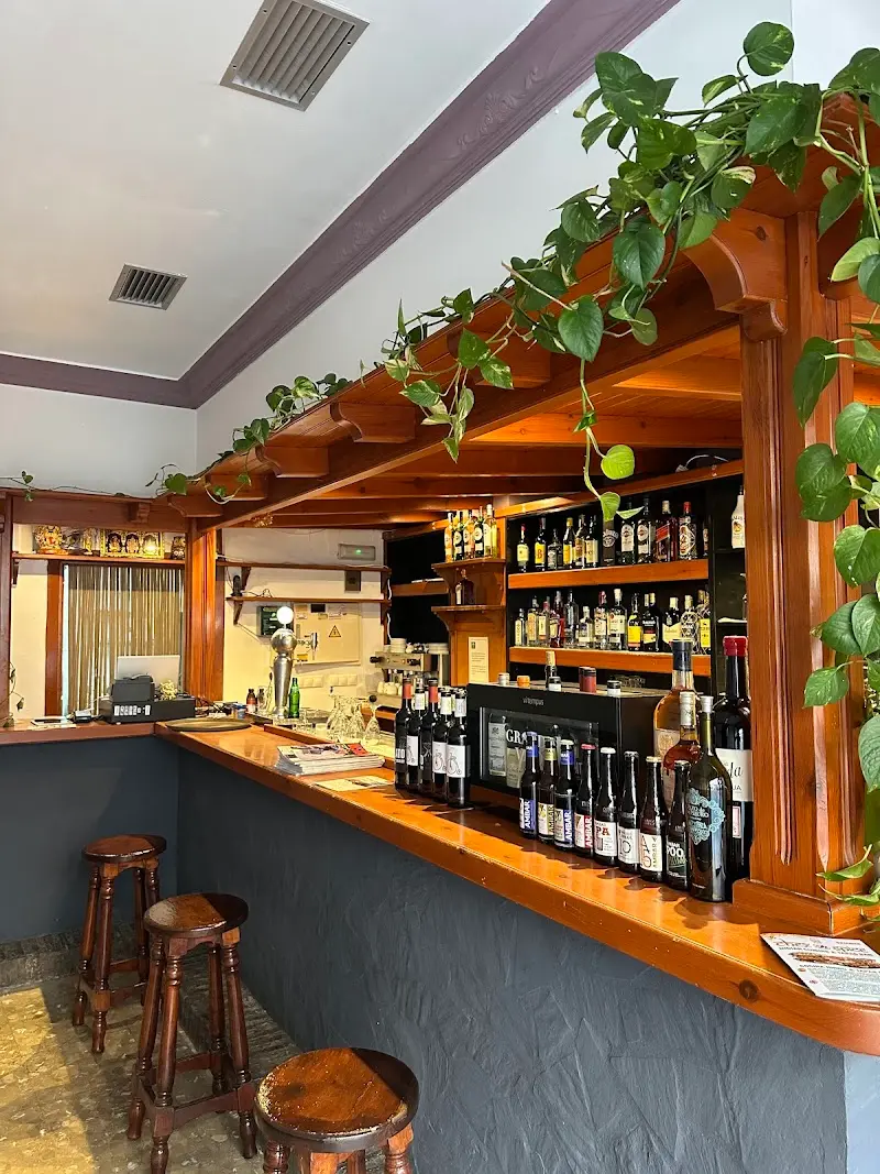 Barra de madera con taburetes, botellas de vino y plantas colgantes