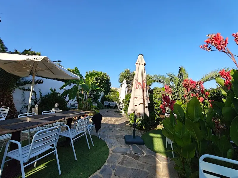 Jardín soleado con mesas, sombrillas, palmeras y flores rojas