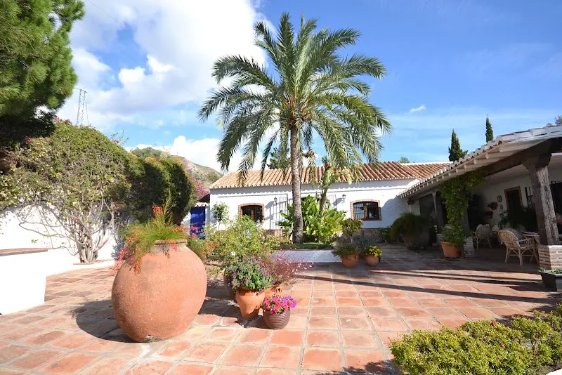 Patio de baldosas con una gran palmera, tinaja de barro y macetas frente al cortijo