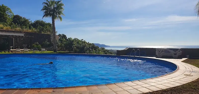 Piscina redonda con palmera y el mar al fondo, con una persona nadando