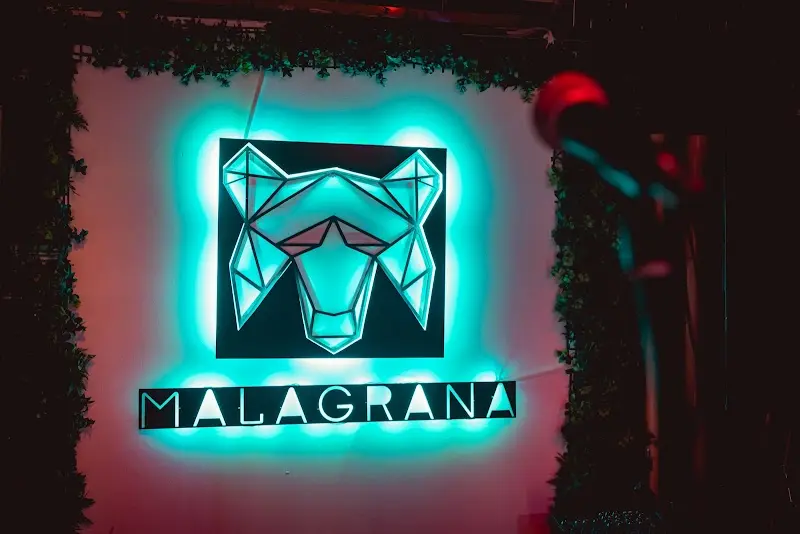 Logotipo luminoso de Malagrana, una cabeza geométrica con luz turquesa, enmarcado por hojas