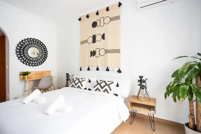 Habitación con cama de matrimonio, tapiz de borlas, escritorio de madera y una planta