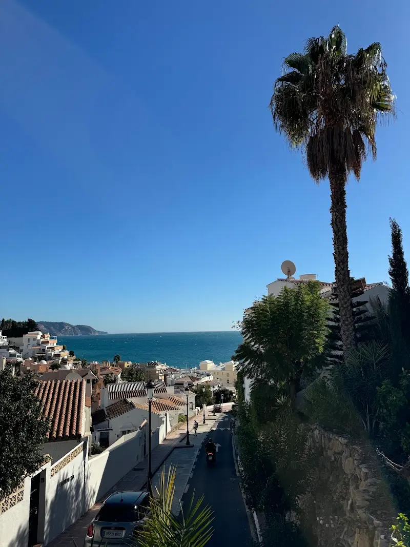 Calle en cuesta con palmera y vistas al mar y a los acantilados desde la zona de Nerja Paradise Rentals