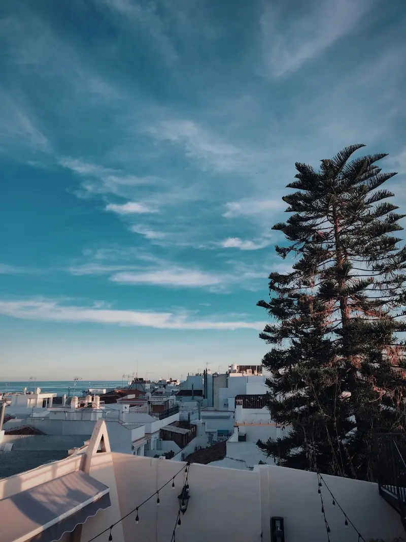 Tejados blancos de Nerja y el mar al fondo desde la terraza, con una araucaria