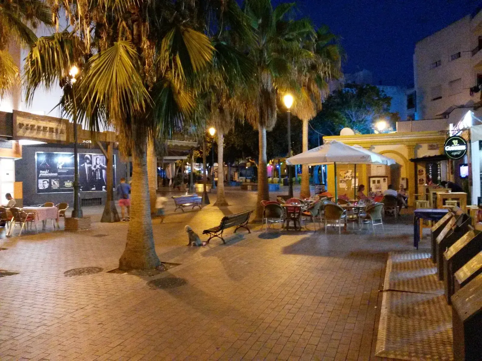 Terrazas y palmeras de la Plaza Tutti Frutti al anochecer