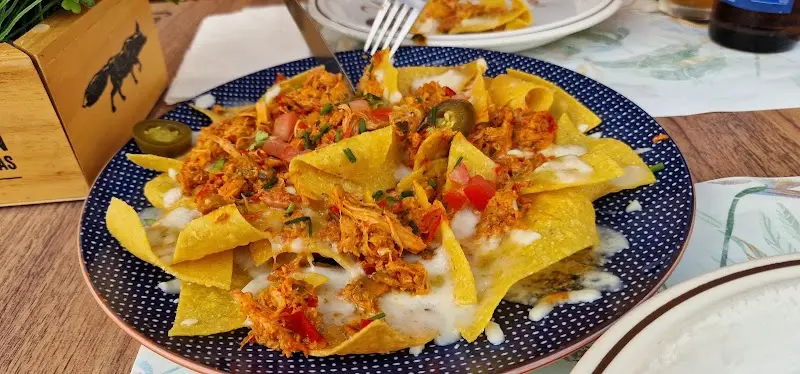 Plato de nachos con pollo desmechado, queso fundido, tomate y jalapeños