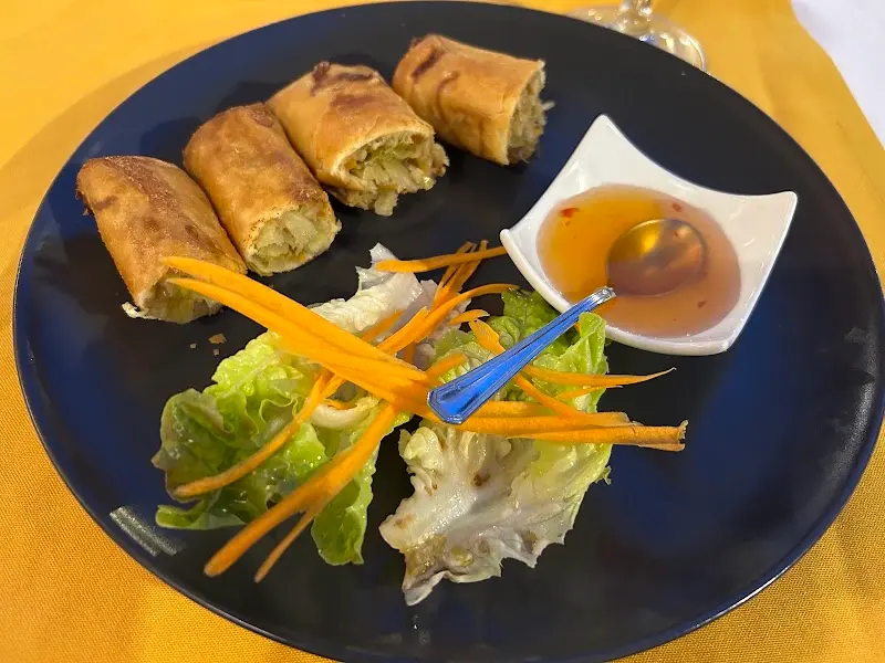 Rollitos de primavera cortados con ensalada de lechuga y zanahoria y salsa agridulce